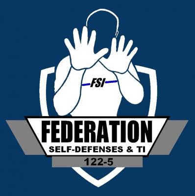 Logo fsi bleu 1